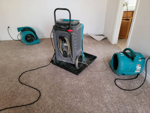 Best Water damage restoration near me  in Fanning Springs, FL