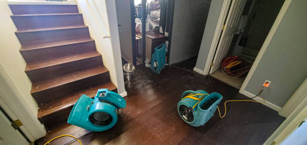 24/7 water damage repair in Fanning Springs, FL