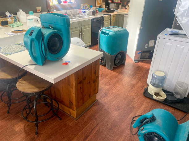 Fanning Springs, FL Water damage restoration Company