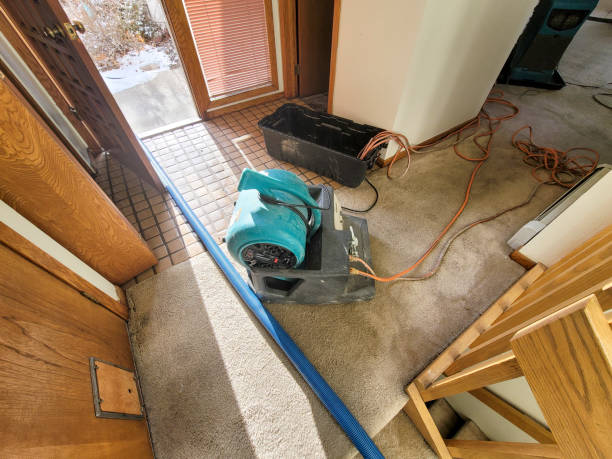 Best Ceiling water damage repair  in Fanning Springs, FL
