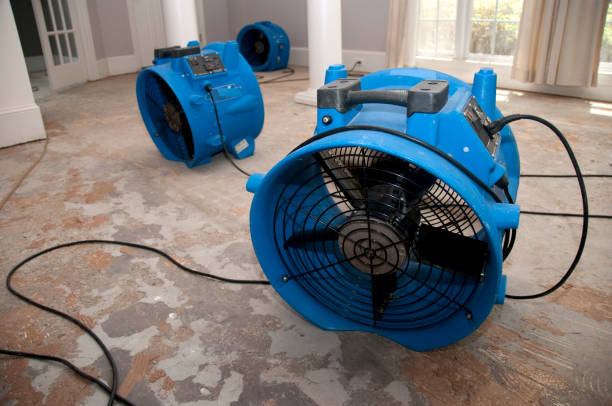 Fanning Springs, FL Water damage restoration Pros