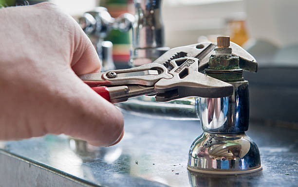 Best Water damage contractors near me  in Fanning Springs, FL
