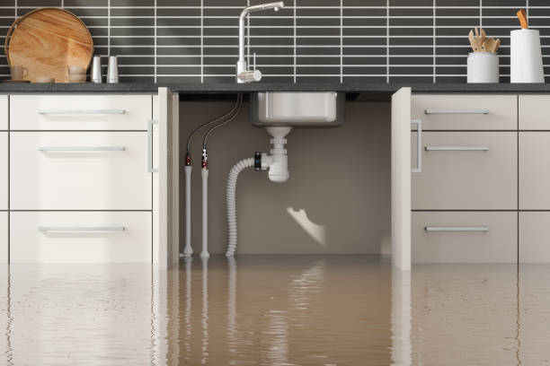 Best Commercial water damage restoration  in Fanning Springs, FL